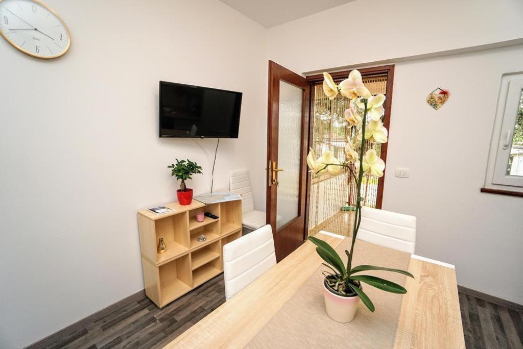 Apartman Dea Crveni Vrh Exterior foto